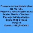 Predrag