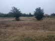 oglas