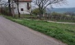 Ruža Šili